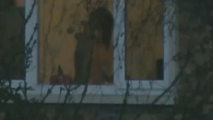 উইন্ডো ভয়েউর
