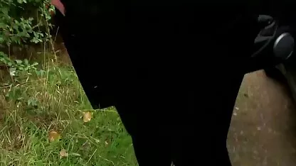ব্রিটিশ বেশ্যা প্রেম 2-তামার গ্রেস