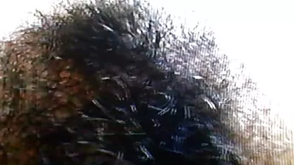 লোমশ হিপ্পি 5