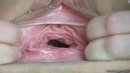 বিড়াল বন্ধ করুন