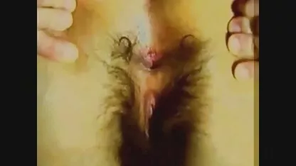 লোমশ রাশিয়ান 2