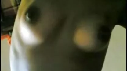 মলয় - বিল বিড়াল