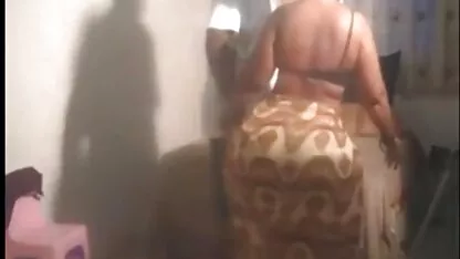 আশ্চর্যজনক আফ্রিকান গাধা