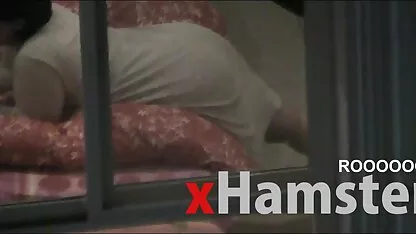জানালা দিয়ে দেখুন - চমৎকার আরব গাধা
