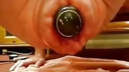 বন্য ফাঁকানো গাধা সন্নিবেশ