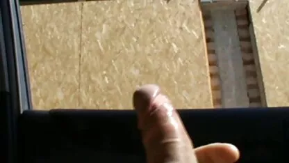 ফ্ল্যাশ মুভি
