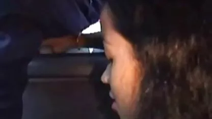 গাড়িতে পাবলিক