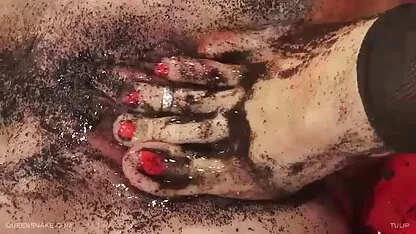 টিউলিপ-কুইনসেনকে। - -