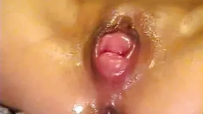 ধ্বংস হয়ে গেছে এবং টিভি দ্বারা স্কুয়ার্টিং