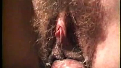 হোমমেড ক্লোজ বিড়াল