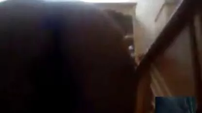 সৌদি আরব থেকে