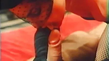 - - পাওলা