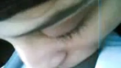 আরব বিড়াল খেলা এবং