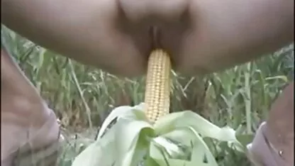 ভারত