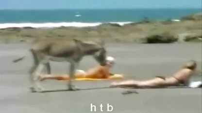 মজা 4। Htb