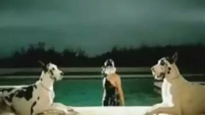 লেডি গাগা ব্লজব