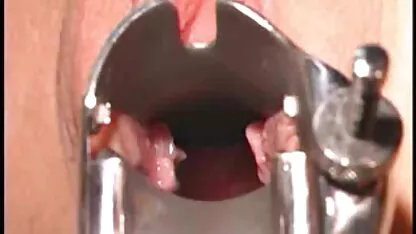 একটি বিড়ালের পিটি 23 দেখুন
