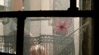 উইন্ডো টিন ড্রেসিংয়ের মাধ্যমে গুপ্তচর