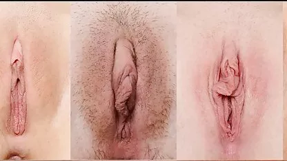 বিশেষ শো