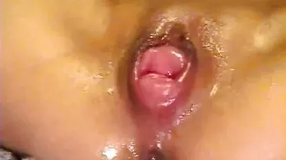 ধ্বংস হয়ে গেছে এবং টিভি দ্বারা স্কুয়ার্টিং