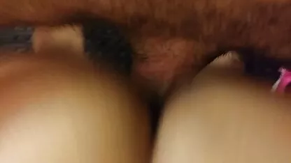 বাথরুমে কুকুরের স্টাইল