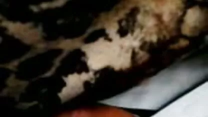 প্রেস বাস