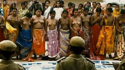 সৌর