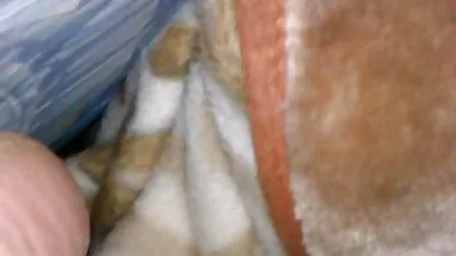 বোন