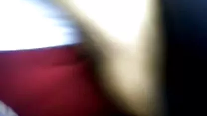 টাট বিড়াল বাস