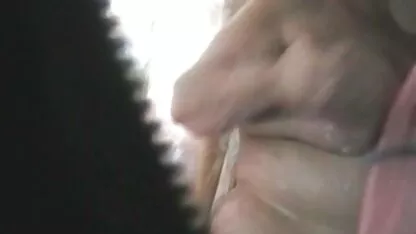গোপন দাদি