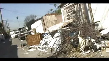 বেশ্যা অস্বীকার