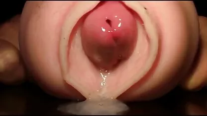 বিপরীত সঙ্গে